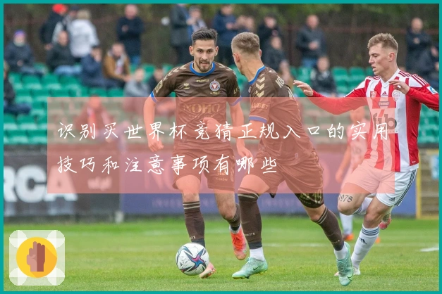 识别买世界杯竞猜正规入口的实用技巧和注意事项有哪些