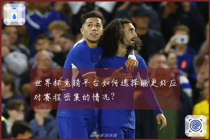 世界杯竞猜平台如何选择能更好应对赛程密集的情况？