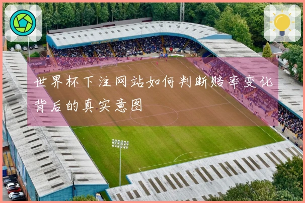 世界杯下注网站如何判断赔率变化背后的真实意图
